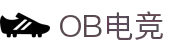 OB电竞·(中国)电子竞技平台